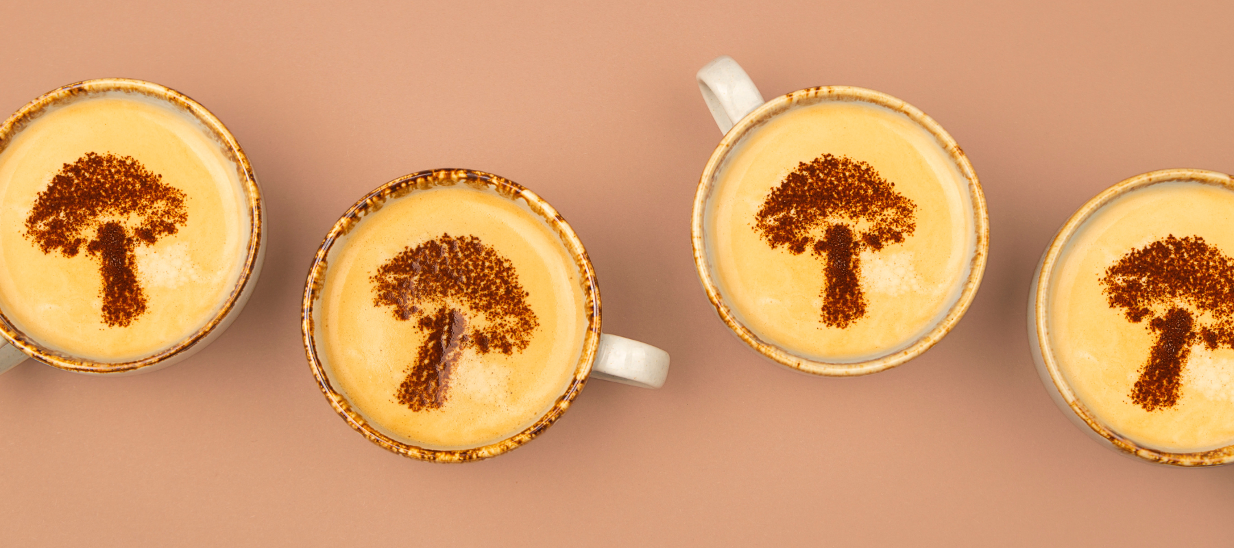 Top 3 Mushroom Coffee in 2025